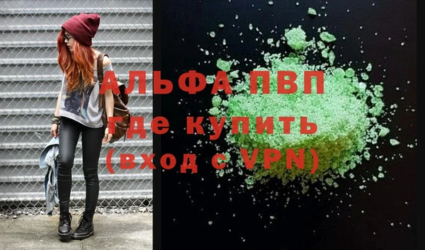 винт Ельня