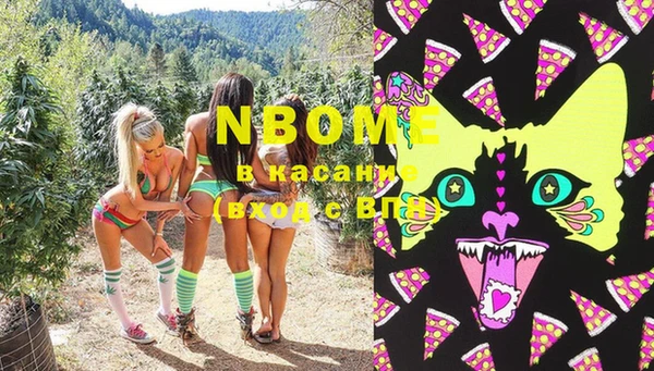 винт Ельня