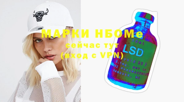 винт Ельня