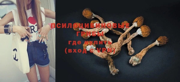 винт Ельня