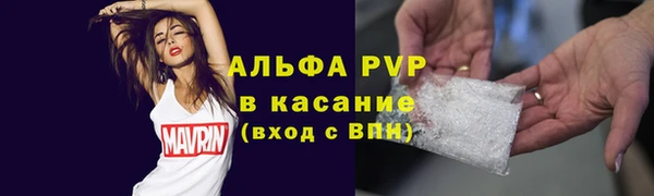 винт Ельня