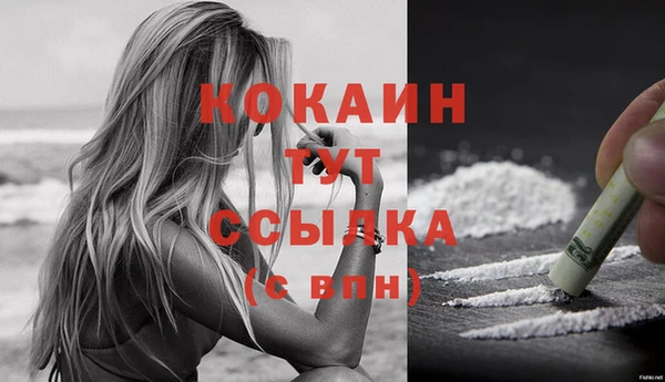 винт Ельня