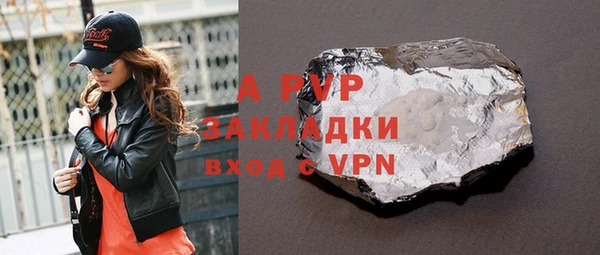 винт Ельня