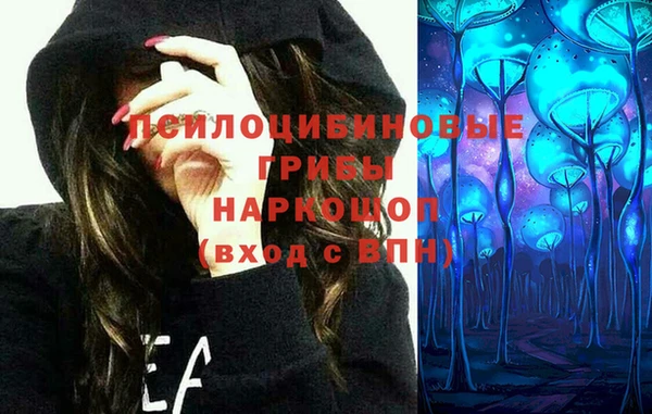 винт Ельня