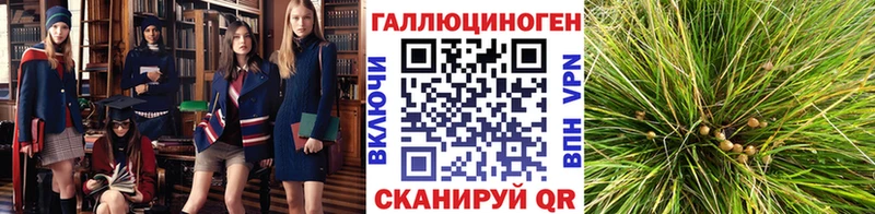 Псилоцибиновые грибы Magic Shrooms  Купить где  Судак 